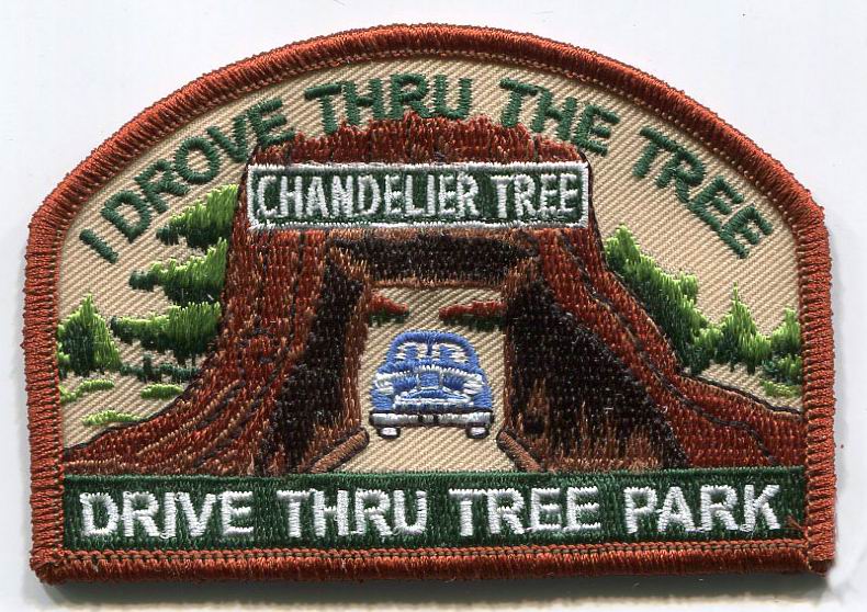 Drive Thru Tree I Drove Through the Tree Patch 2-1128 and 0-1128