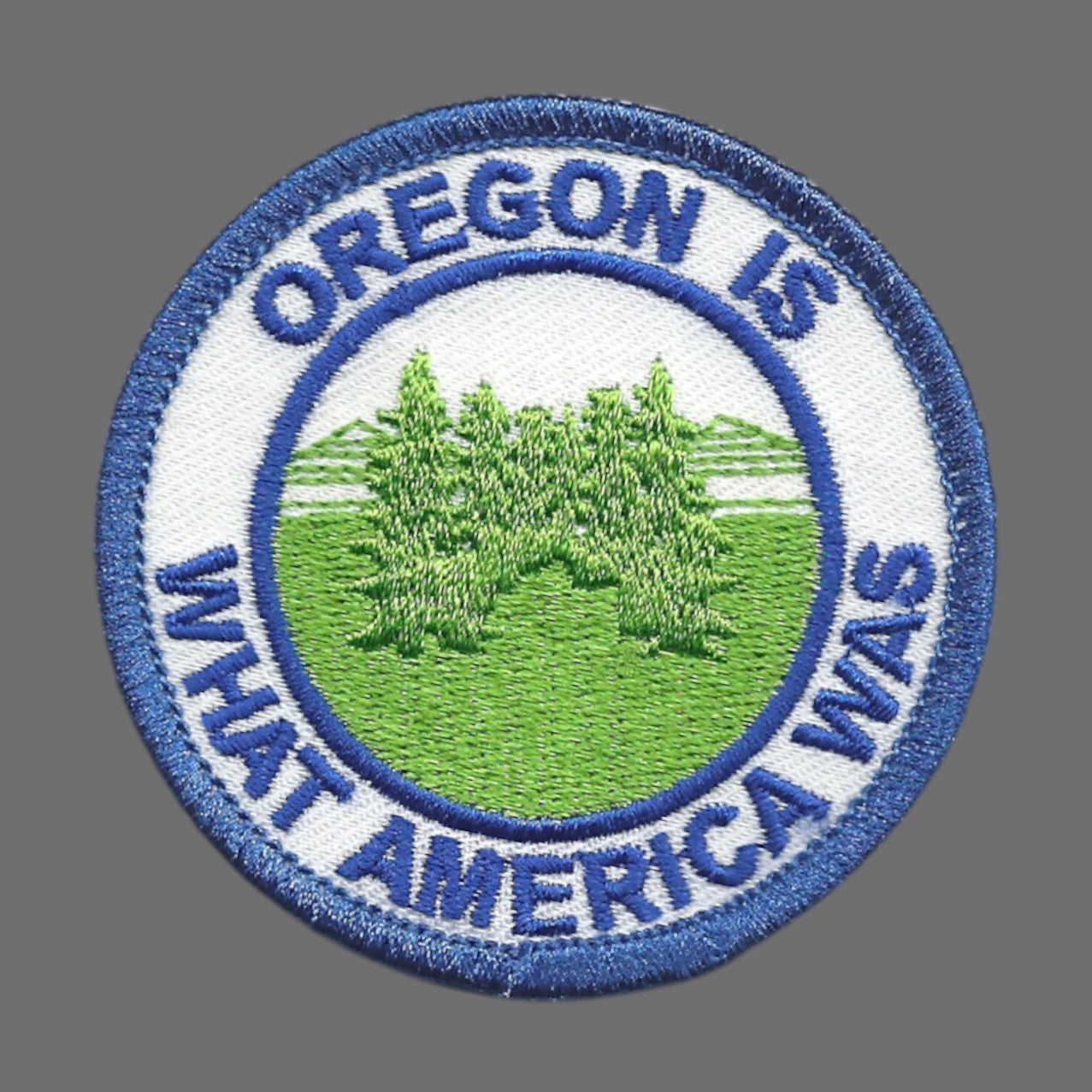 Oregon Is What America Was Iron On Souvenir Embroidered Patch - OR-48