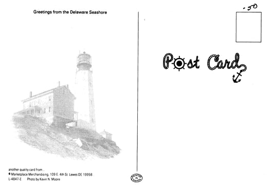 Vintage Delaware Postcard 4x6 Delaware Seashore Marketplace Merchandising Kevin Moore