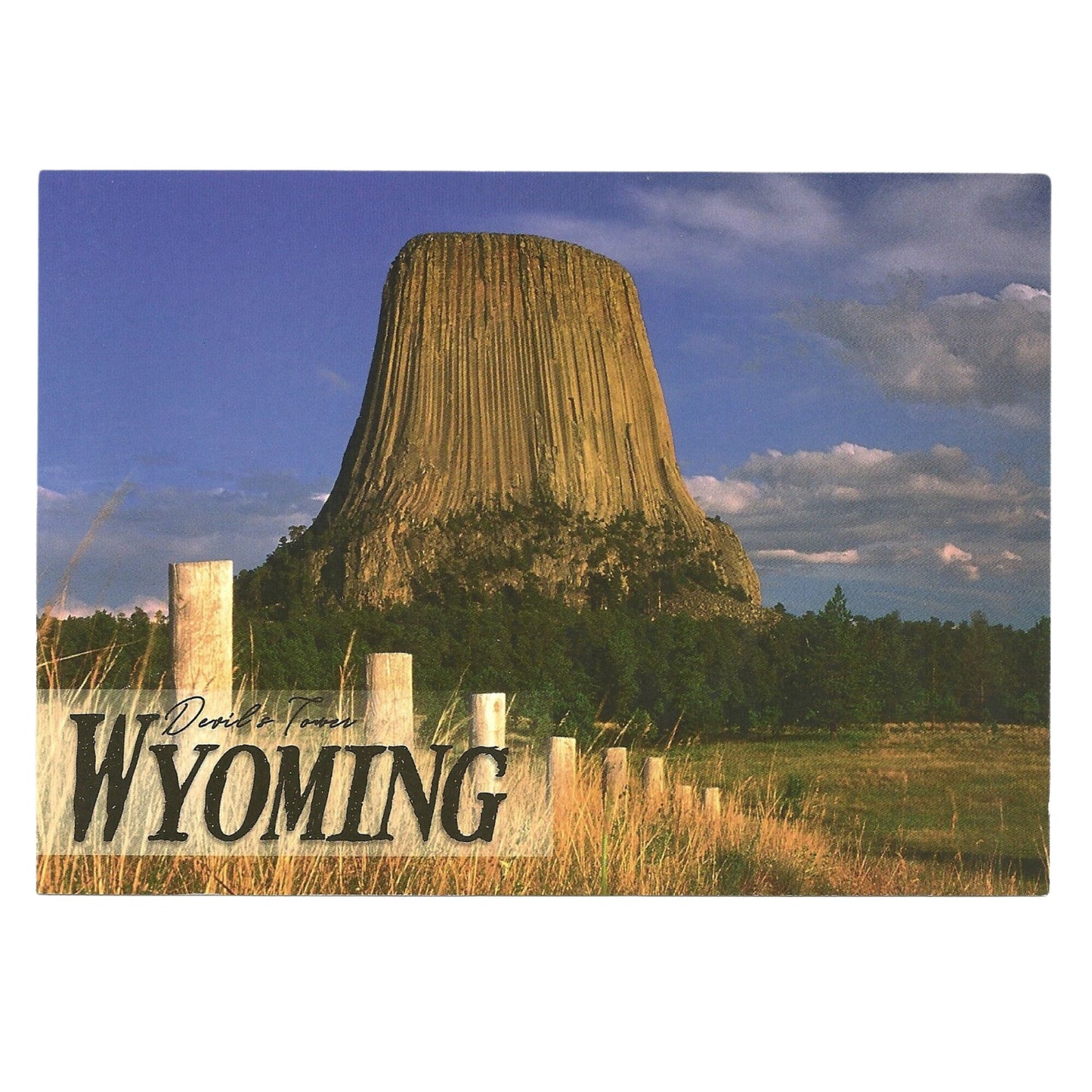 Devils Tower Postcard WY 5x7 Jumbo Large Wyoming - Great for Crafting - Decoupage - Scrapbooking Supply