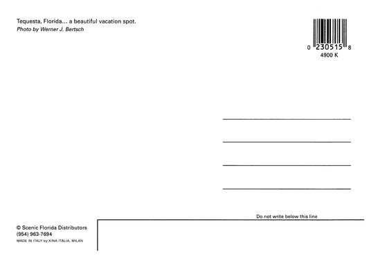 Vintage Florida Postcard 4x6 Tequesta FL Scenic Florida Distributors 1980s Werner Bertsch Buildings Water Boat Vacation Spot