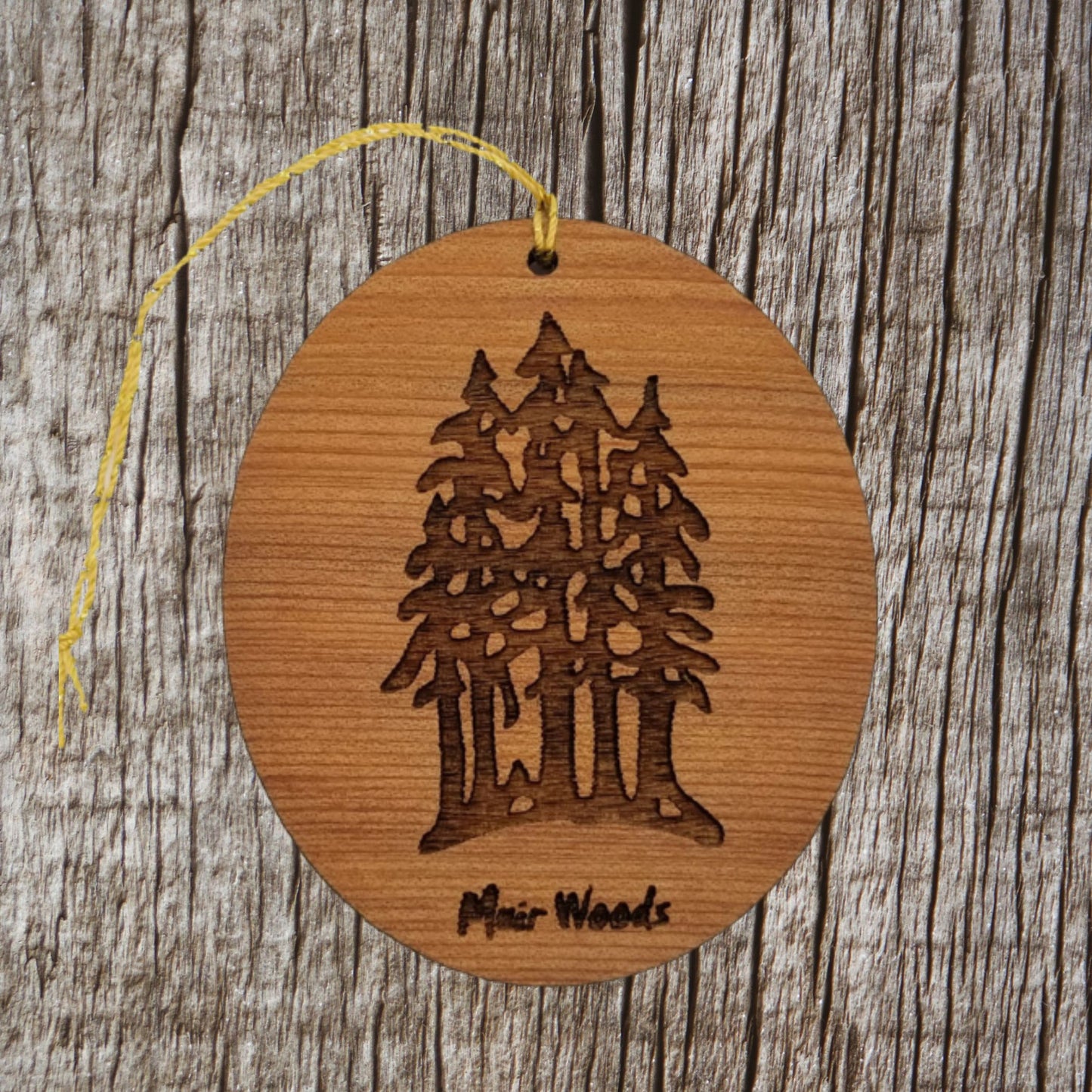 Muir Woods Ornament - National Park Souvenir - Christmas Ornament - Handmade - 15018MW