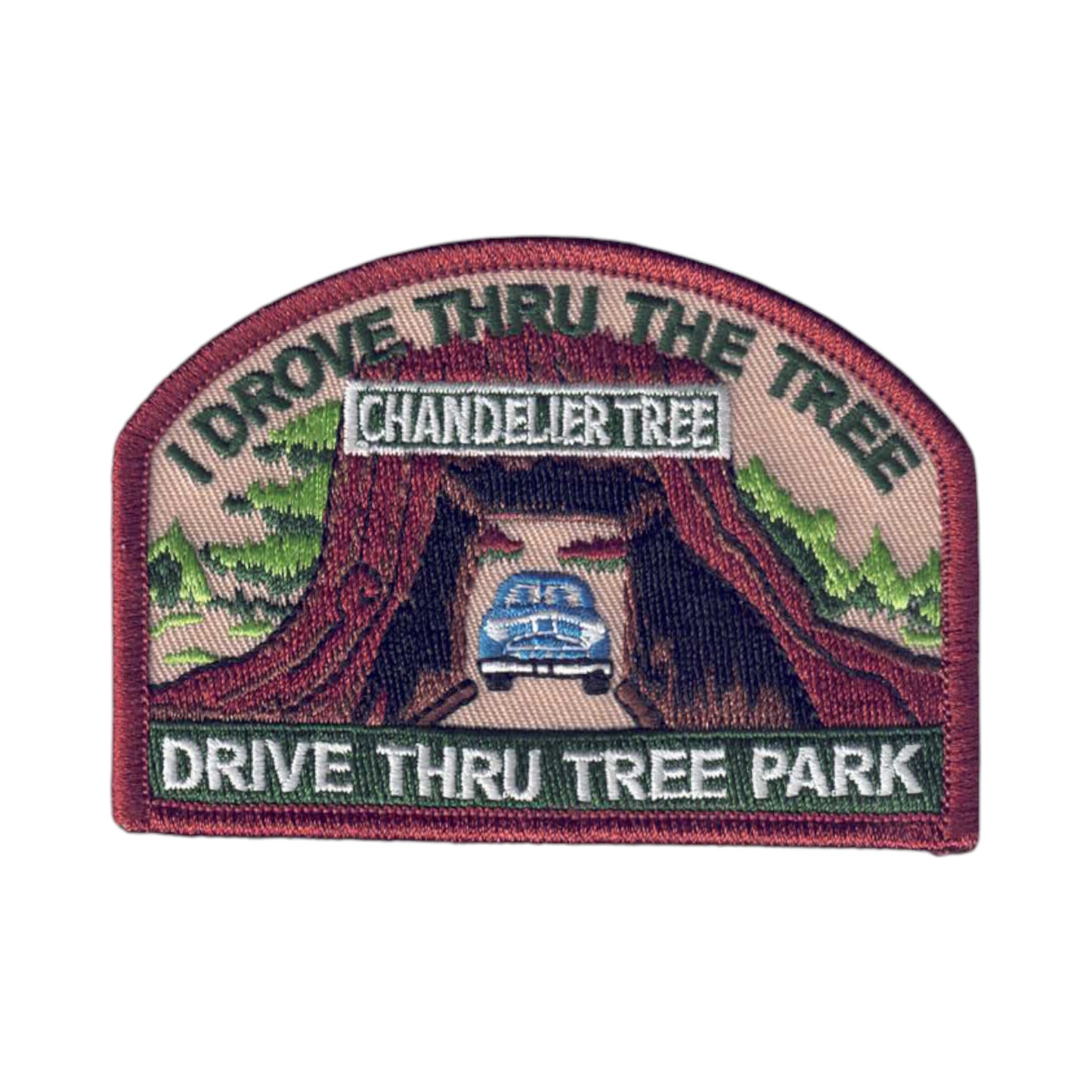 Drive Thru Tree I Drove Through the Tree Patch 2-1128 and 0-1128