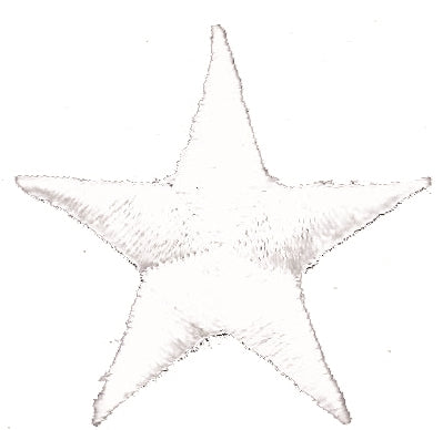 1.25" embroidered star patch - 7401