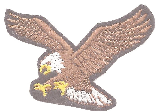 eagle embroidered patch