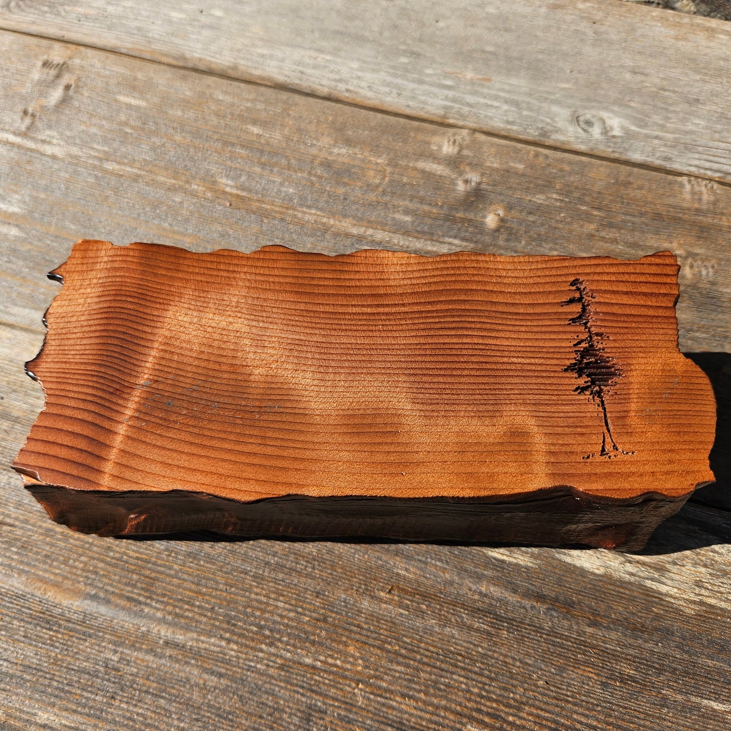 Handmade Wood Box with Redwood Tree Engraved Rustic Handmade Curly Wood #600 California Redwood Jewelry Box Storage Box