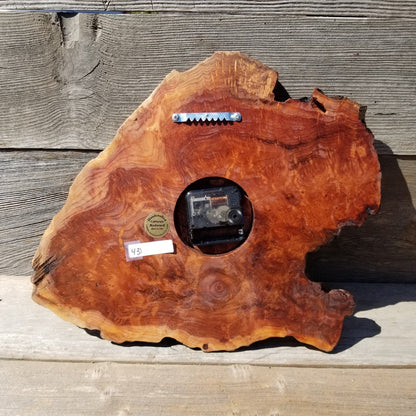 Redwood Clock Burl Wood Wall Hanging #431 Wall Clock Handmade Live Edge Cabin Lodge Rustic Decor California Gift for Him