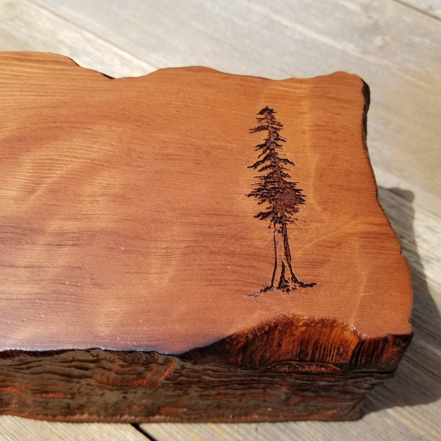 Handmade Wood Box with Redwood Tree Engraved Rustic Handmade Curly Wood #460 California Redwood Jewelry Box Storage Box