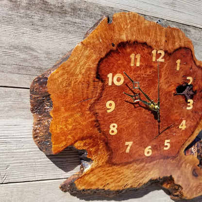 Wood Wall Clock Redwood Clock Handmade Wall Hanging Rustic Wedding Gift Burl Live Edge #355 Anniversary Mini 2 Tone