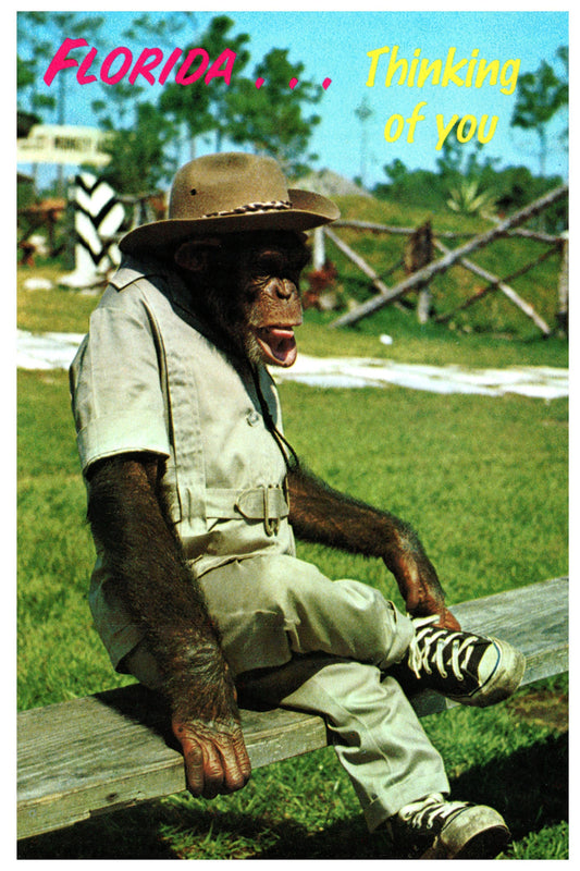 Vintage Florida Postcard 4x6 Thinking of You Chimpanzee Monkey Dressed in Safari Gear Scenic Florida Distributors