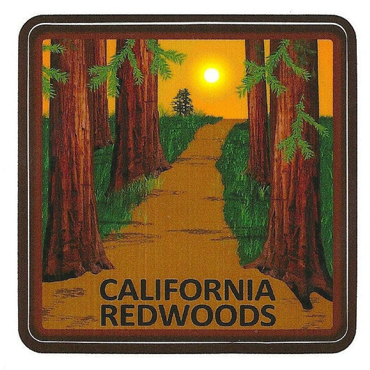 California Redwoods Decal – Redwoods Sticker – Souvenir – Travel Sticker 3" Travel Gift Avenue of the Giants