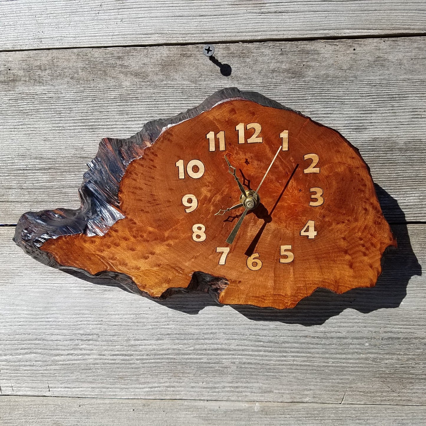 Redwood Clock Mini Handmade Wall Hanging Rustic Wedding Gift Burl Live Edge #344 Anniversary Housewarming Gift