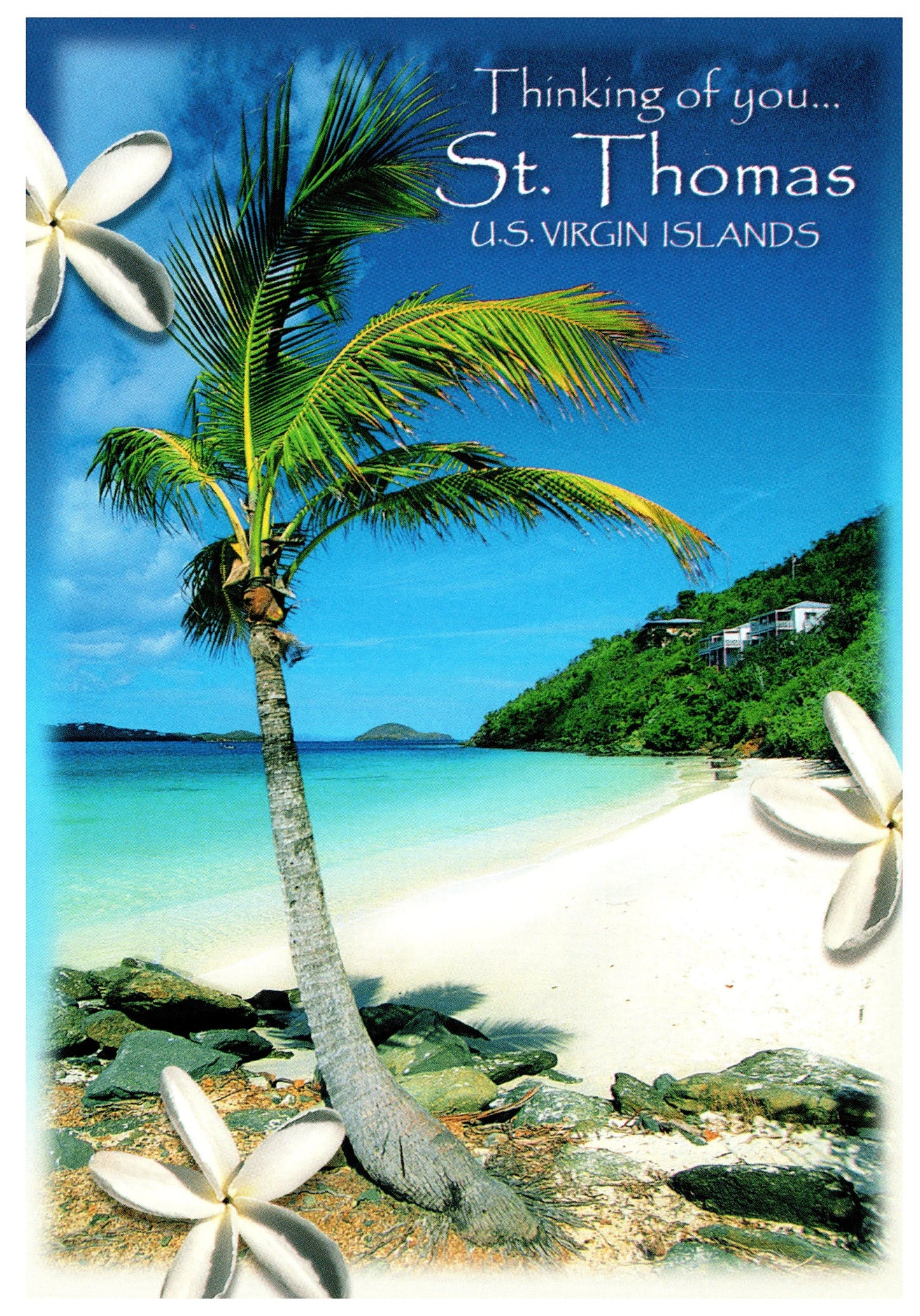 St Thomas US Virgin Islands Postcard 4x6 Thinking of You Buddy Moffet Little Magen's Bay Volcanic Caribbean Island Recipe on Back