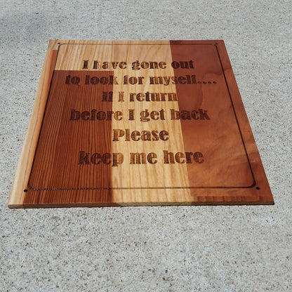 Funny Wood Sign 10 x 12 Redwood Wood Handmade USA Humor Pallet Sign I have gone out to look for myself