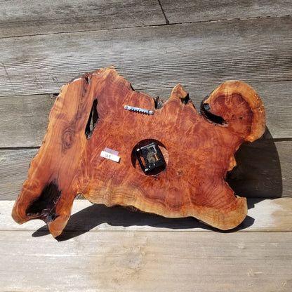 Redwood Burl Clock Two Tone Wall Clock Rustic Slab #109