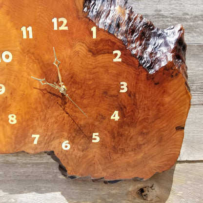 Wood Wall Clock Redwood Burl Slab #115 Housewarming Gift