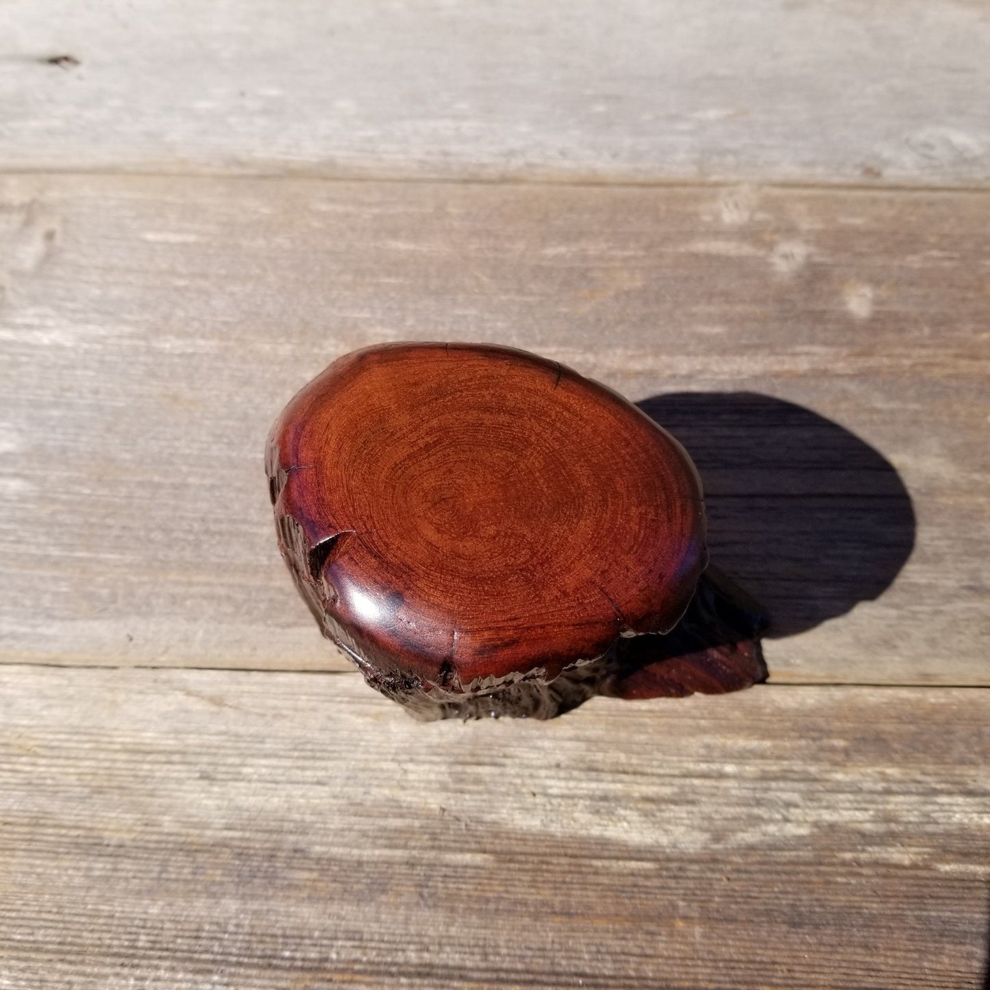 Wood Trinket Box Handmade Box California Redwood Limb Box #253