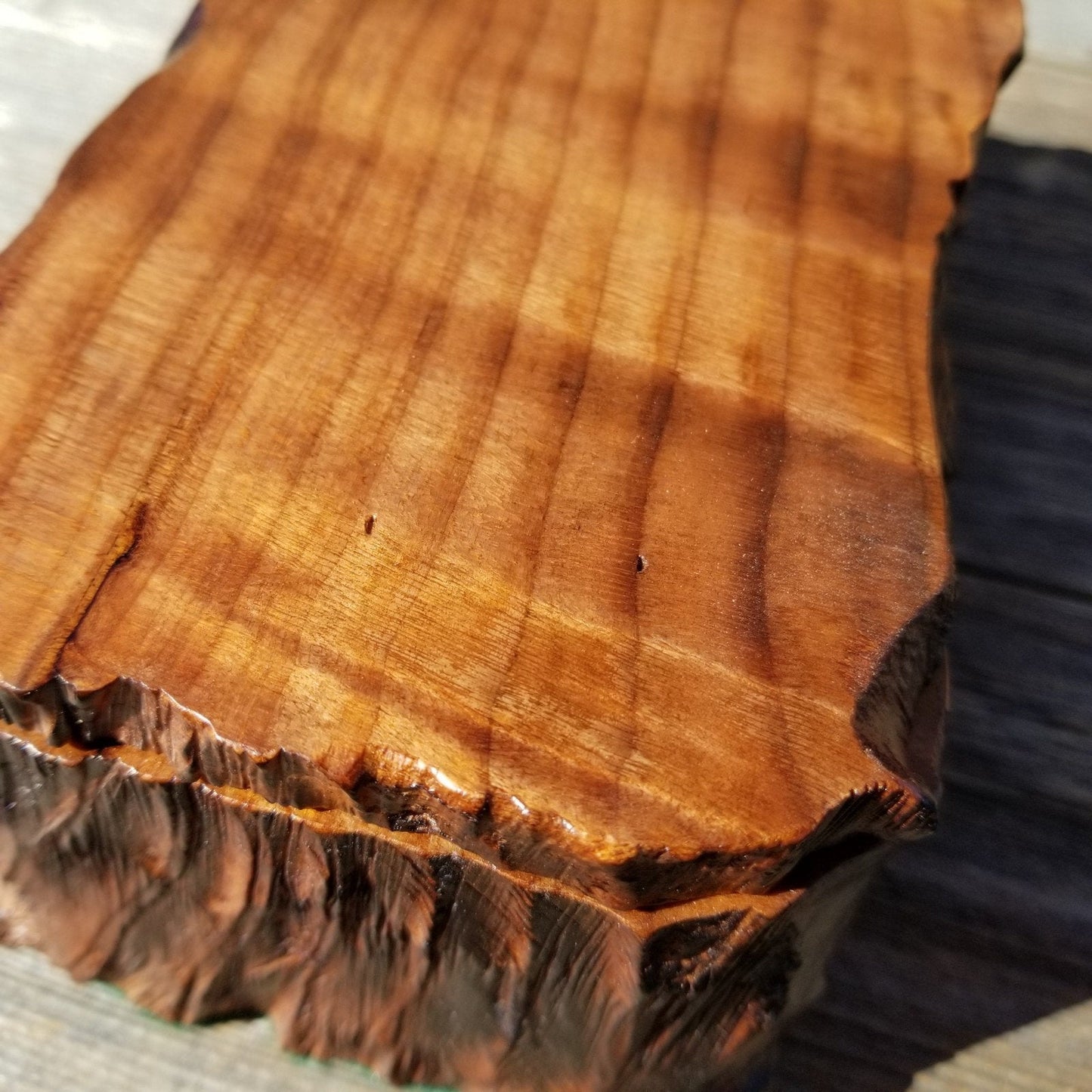 Handmade Wood Box with Redwood Tree Engraved #238