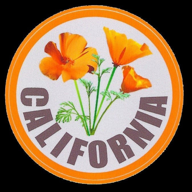 California Decal – CA Poppy Sticker – California Poppies Souvenir – Travel Sticker 3" Circle Travel Gift