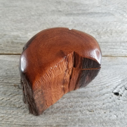 Wood Trinket Box Handmade Box with Redwood Rustic Limb Box #291