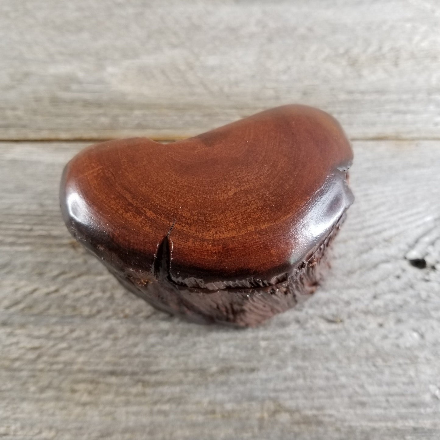 Wood Trinket Box Handmade Box with Redwood Rustic Limb Box #291